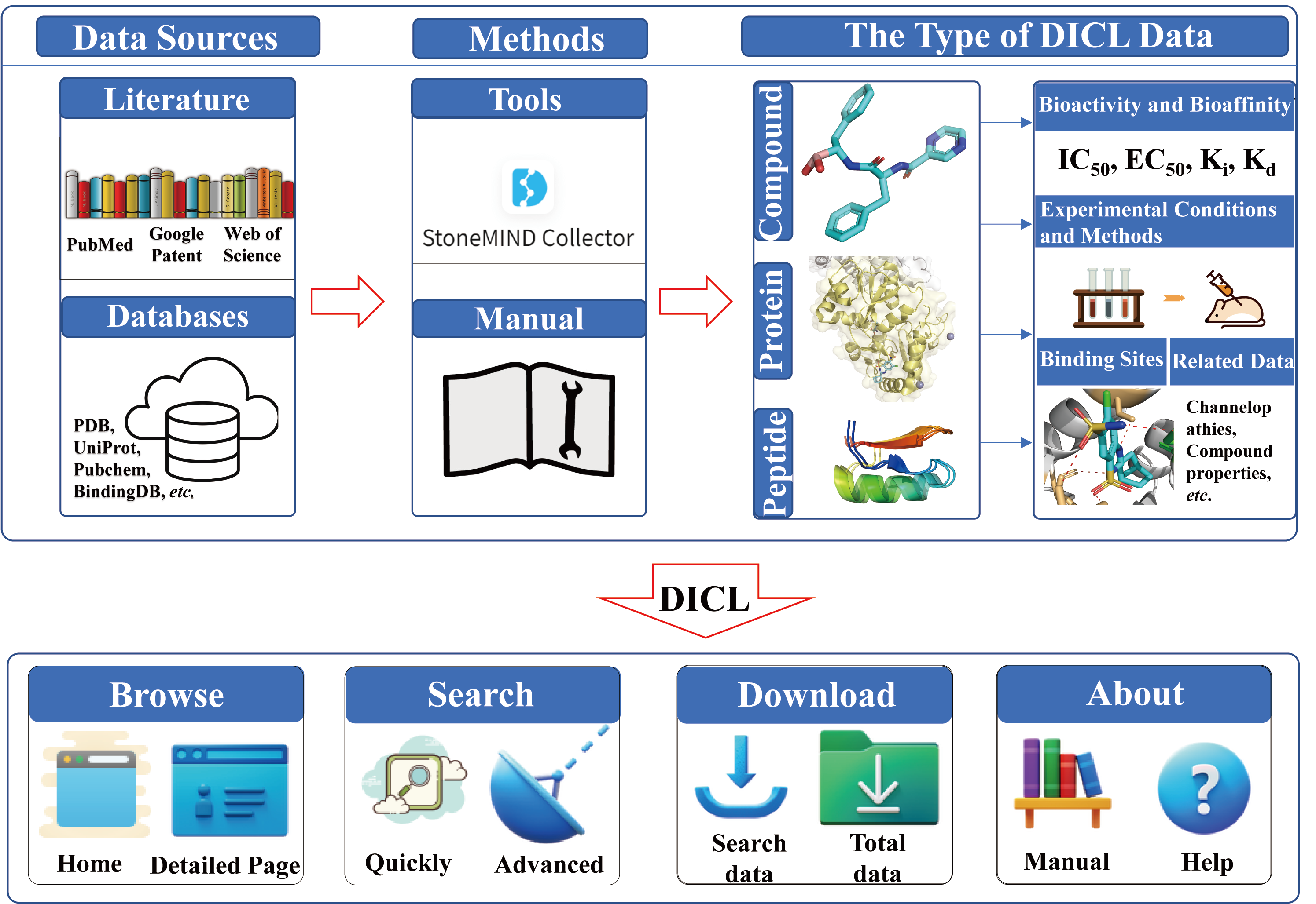 DICL Database Interface Overview